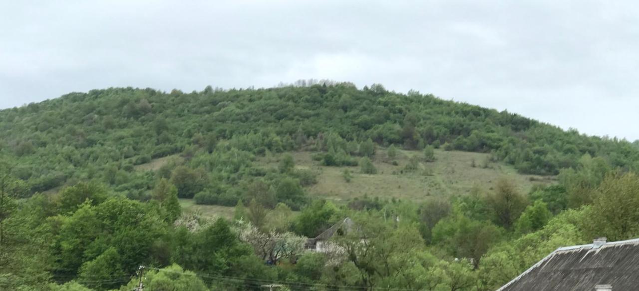 Квітковий Двір Golubinoye 외부 사진